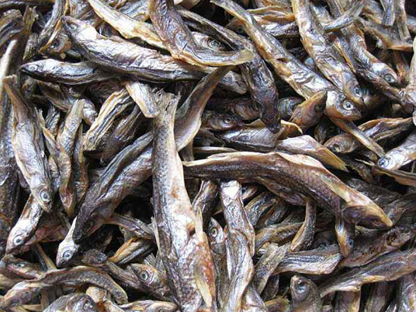 小魚干配送