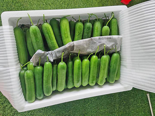 糧油配送公司教你花生油儲存方法？